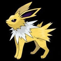 jolteon jolteon